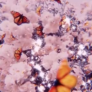 Meet your Posher, Noemi